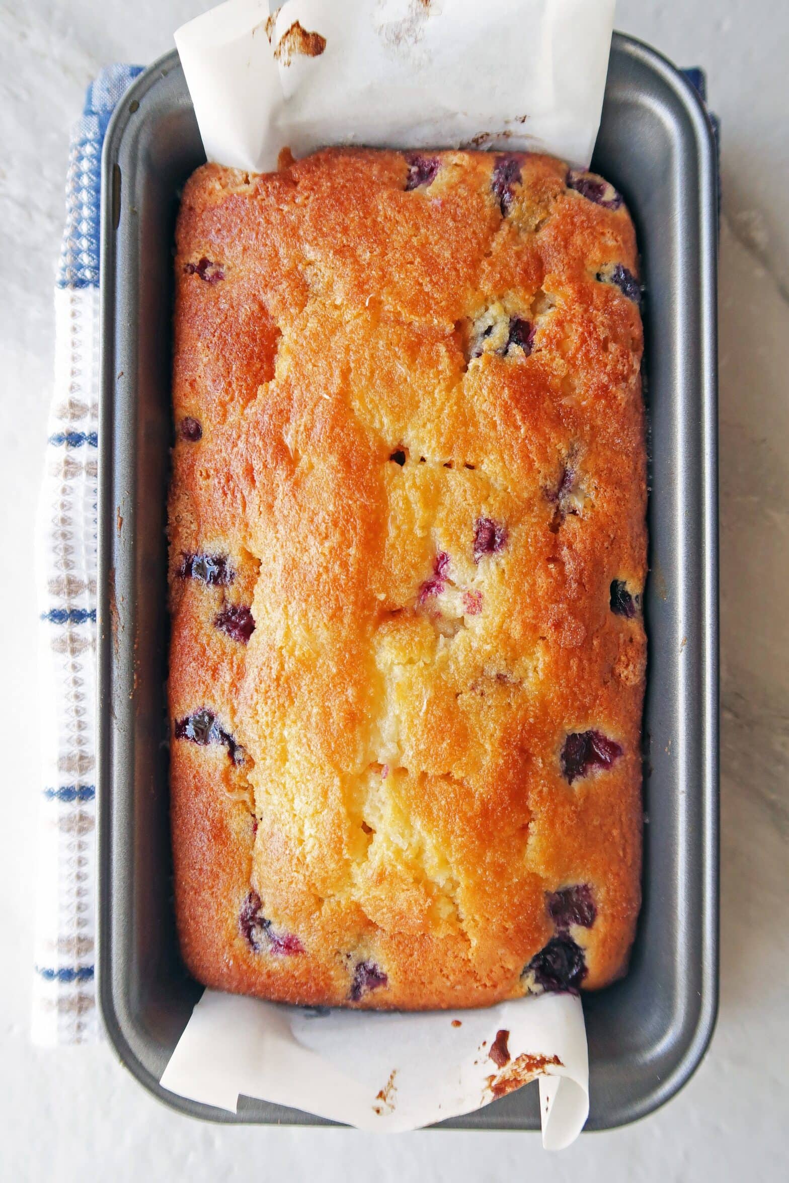 Classic Lemon Blueberry Loaf Cake - Yay! For Food