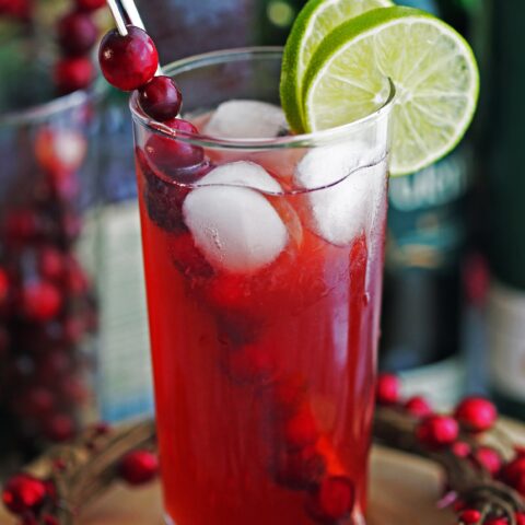 Cranberry Whiskey Ginger Cocktail - Yay! For Food