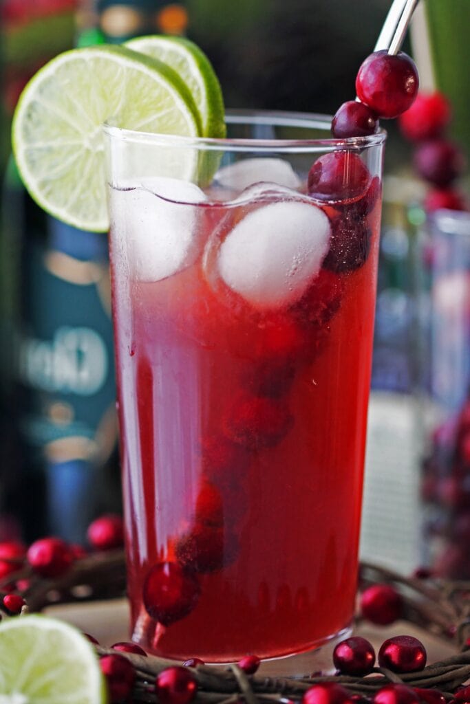 Cranberry Whiskey Ginger Cocktail - Yay! For Food
